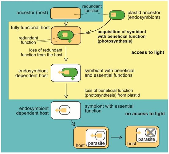 Microorganisms 10 00122 g001 550