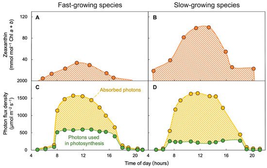 Plants 11 00145 g001 550