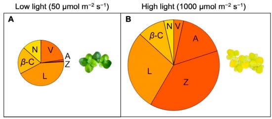 Plants 11 00145 g004 550