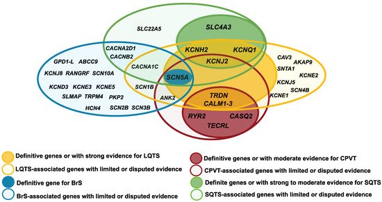 Biomedicines 10 00106 g001 550