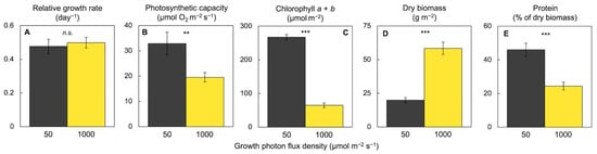 Plants 11 00145 g007 550