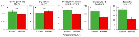 Plants 11 00145 g008 550