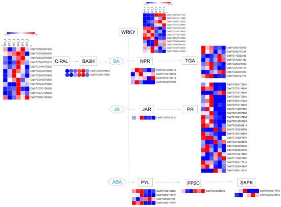 Plants 11 00156 g008 550