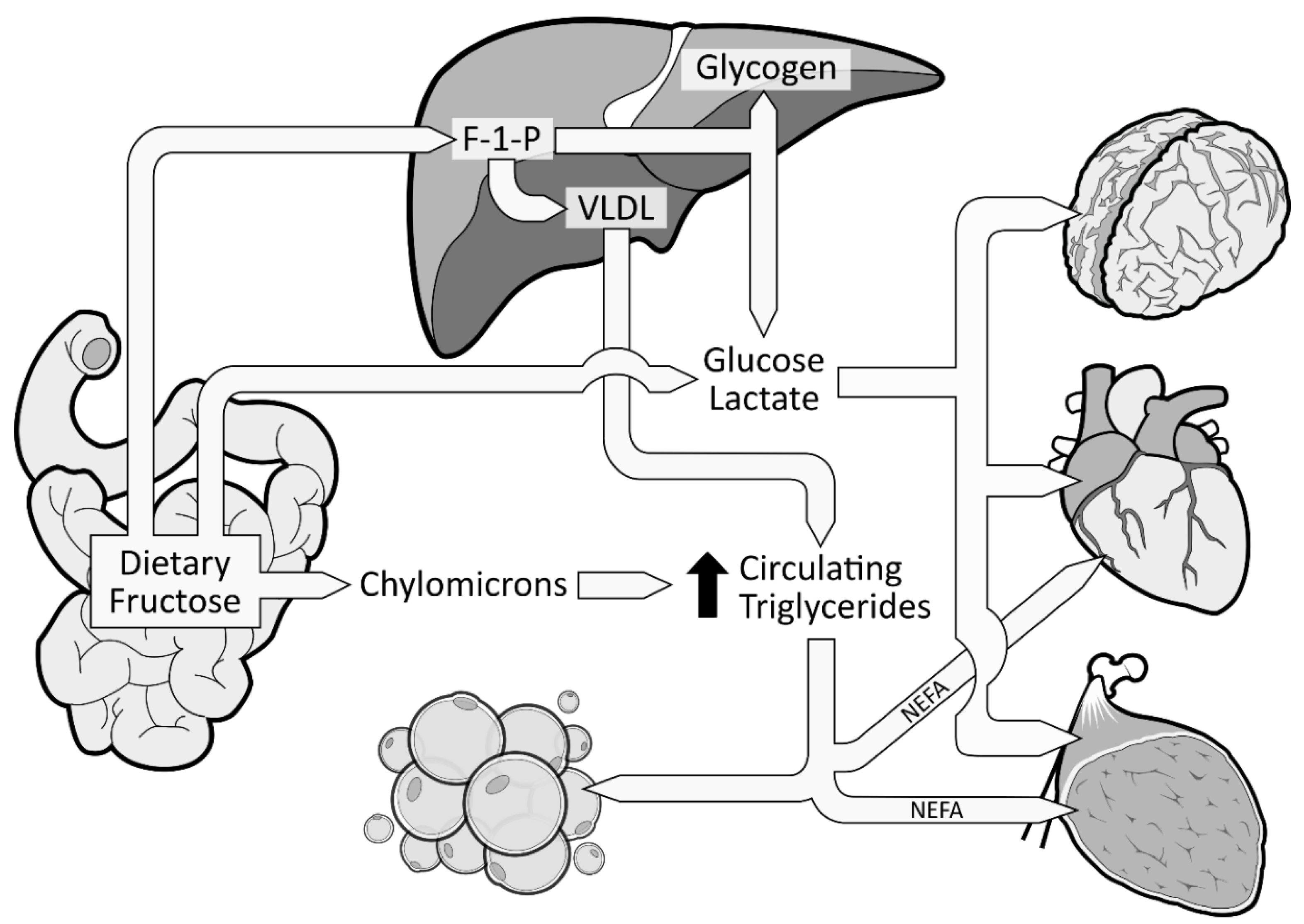 /media/item_content/202201/61dd245e09026nutrients-11-01006-g002.png