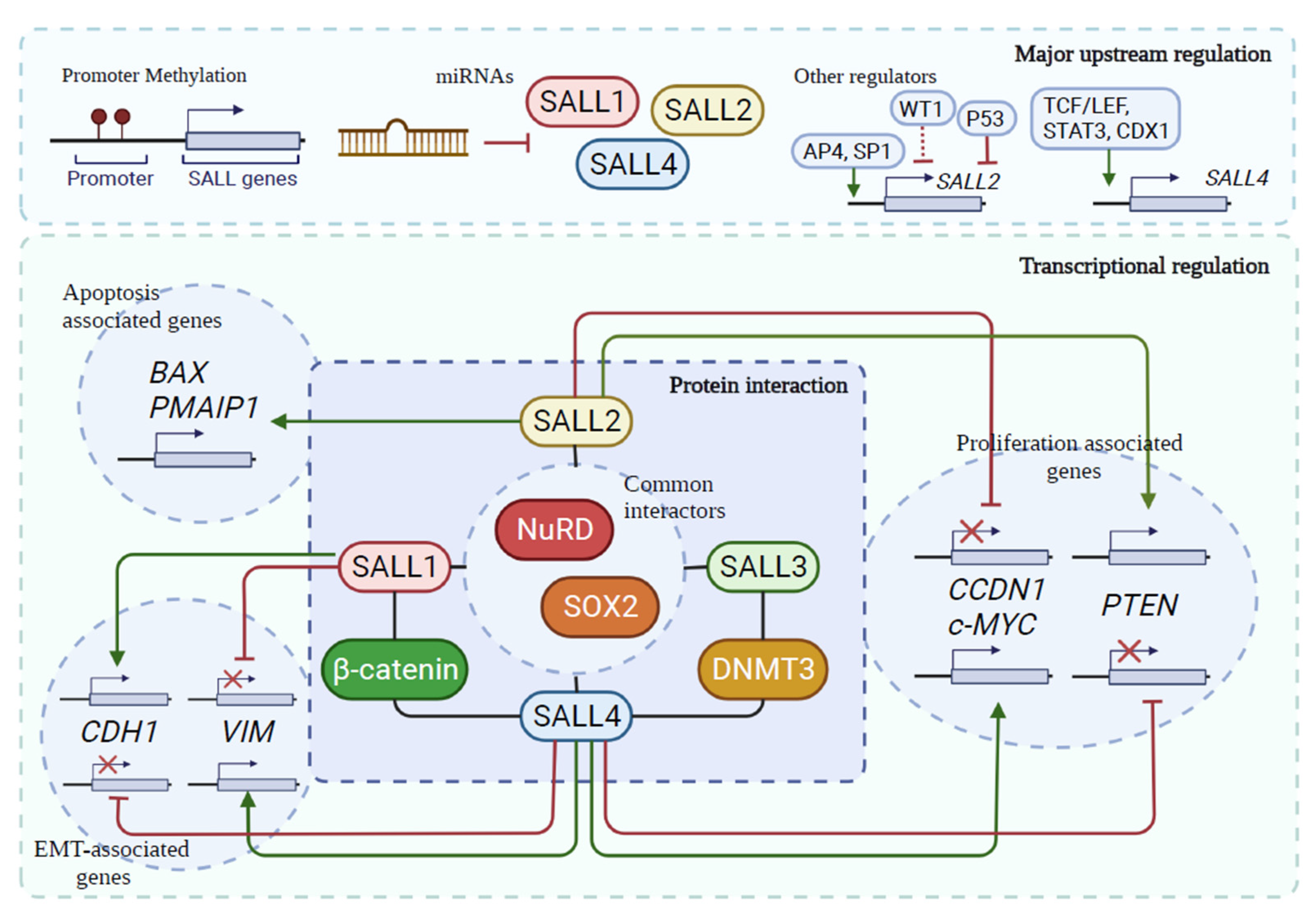 /media/item_content/202201/61dd25256776acancers-13-06292-g002.png