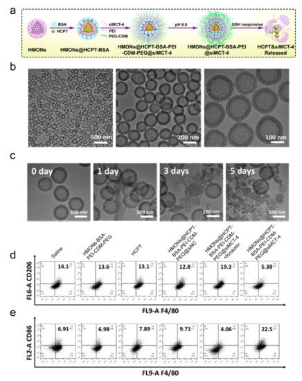 Biomolecules 11 01912 g003 550