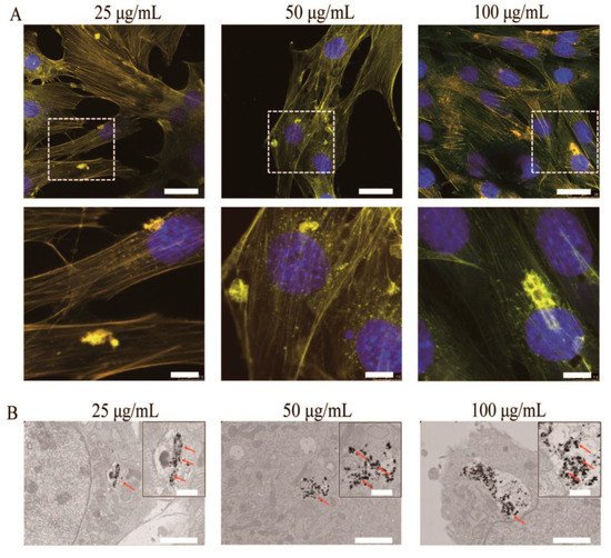 Nanomaterials 09 00239 g007 550