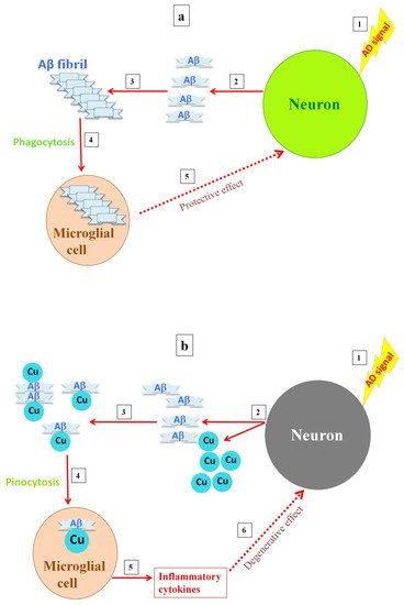 Inorganics 10 00006 g001 550
