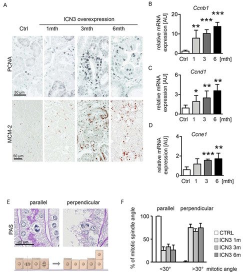 Ijms 23 00884 g005 550
