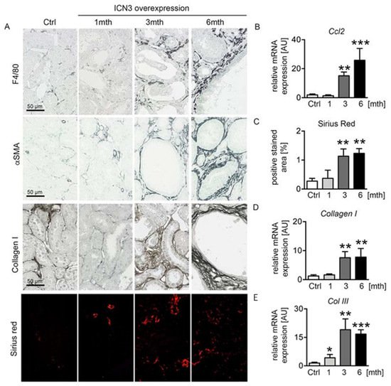 Ijms 23 00884 g006 550