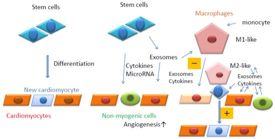 Biology 11 00122 g002 550