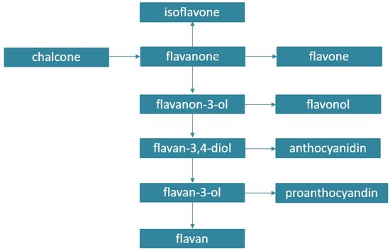 Antioxidants 11 00150 g002 550