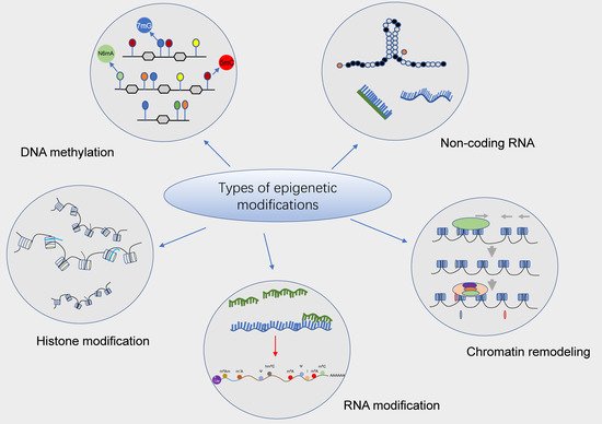 Cancers 14 00332 g001 550