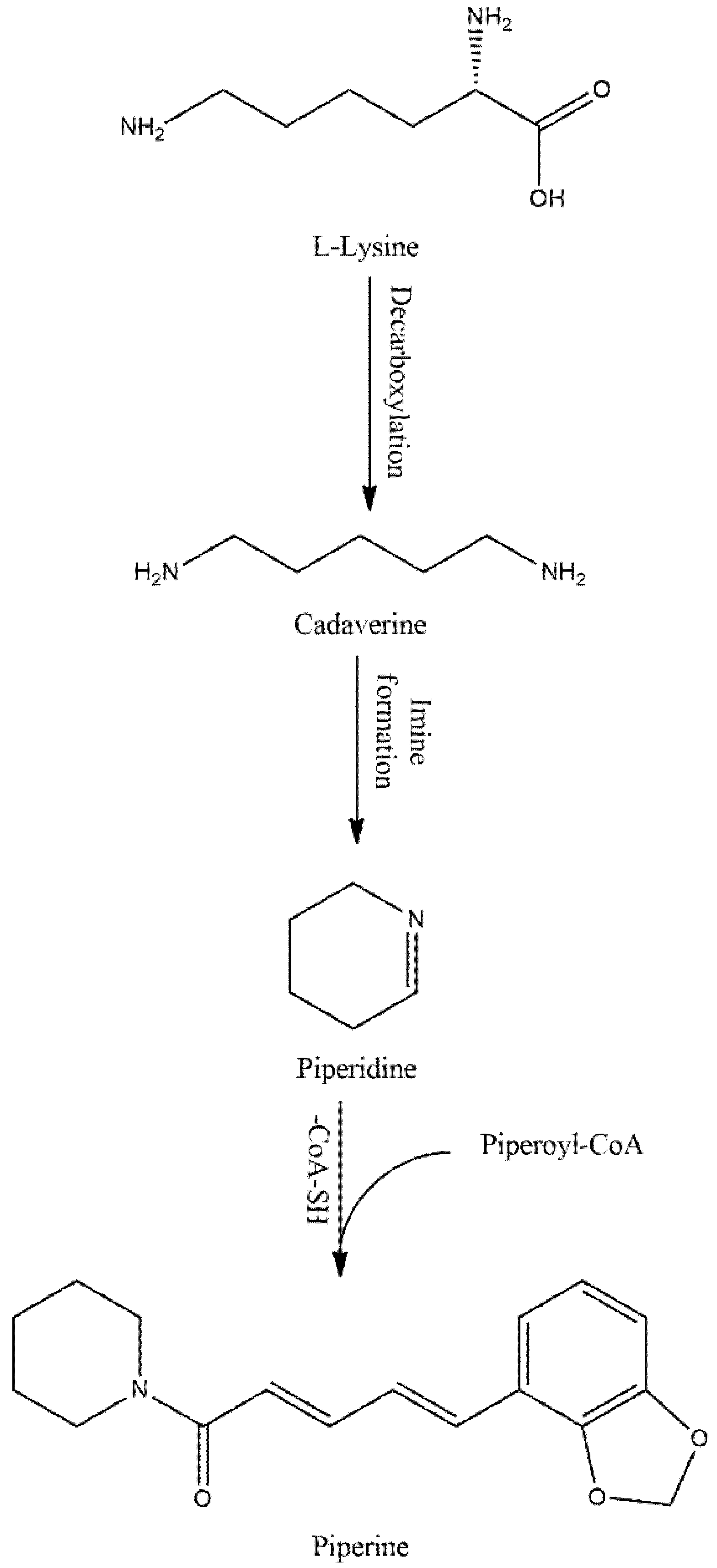 Biomedicines 10 00154 g001