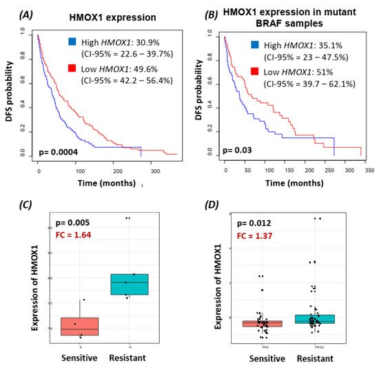 Cancers 14 00311 g002 550
