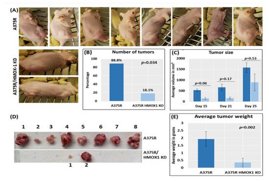 Cancers 14 00311 g005 550