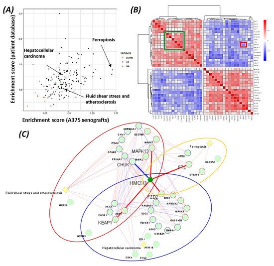 Cancers 14 00311 g006 550