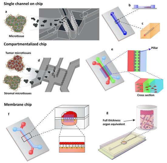 Bioengineering 09 00028 g002 550