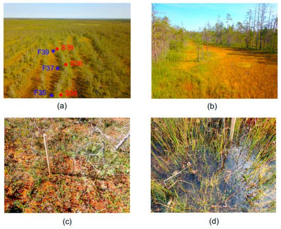 Microorganisms 10 00170 g001 550