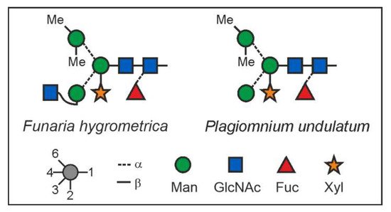 Biomolecules 12 00136 g004 550