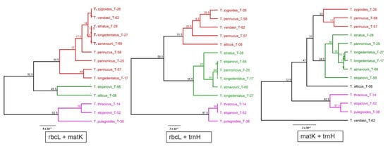 Plants 11 00270 g002 550