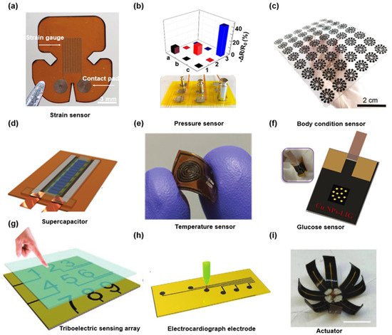 Biosensors 12 00055 g002 550