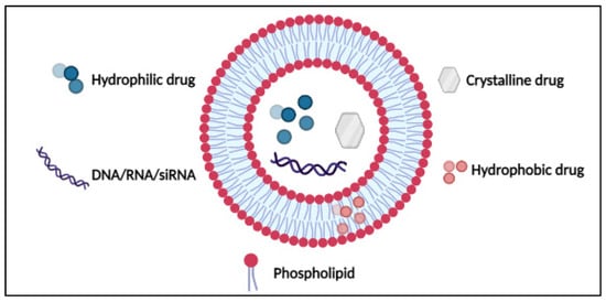 Pharmaceutics 14 00254 g004 550