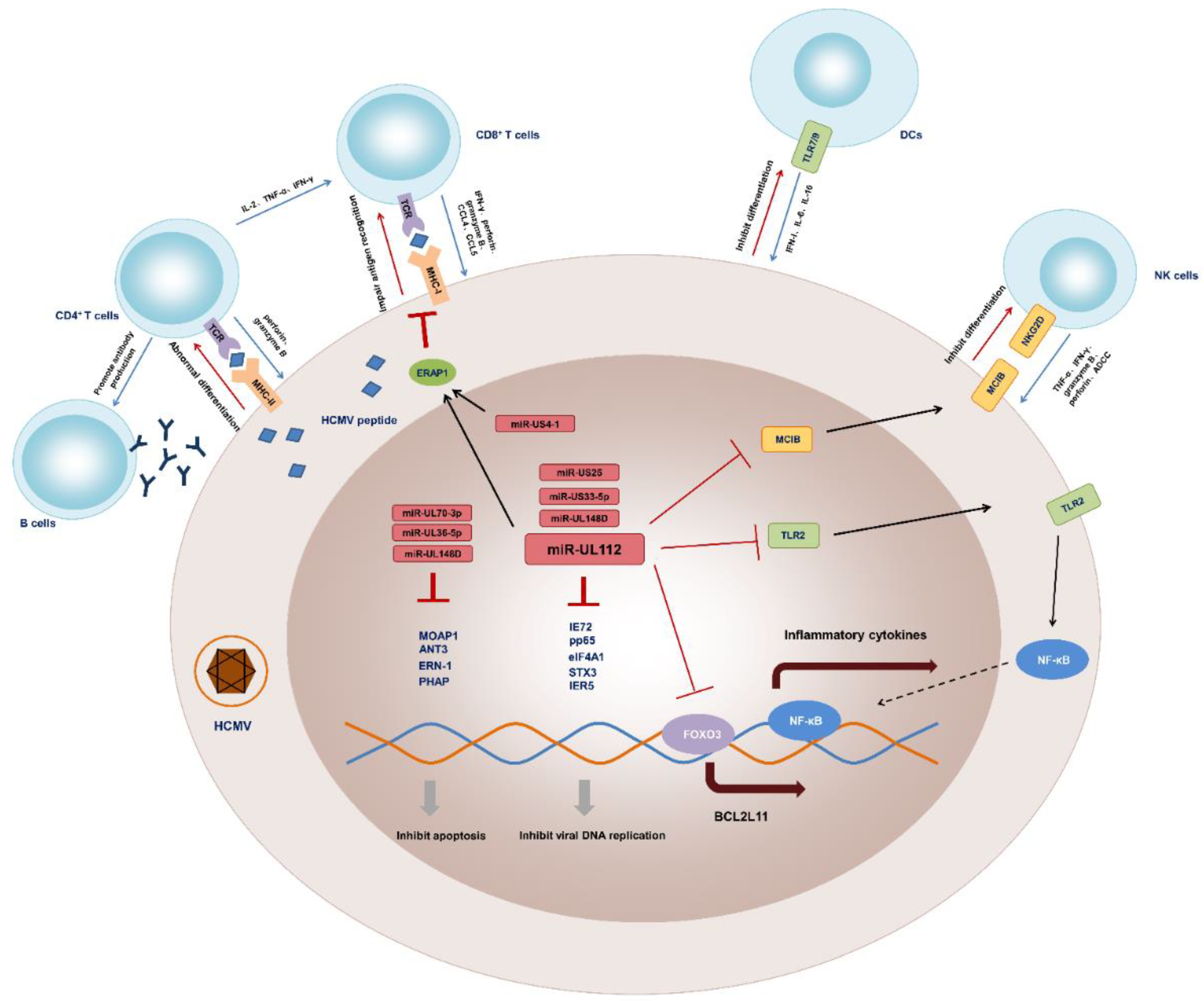 Vaccines 10 00144 g002