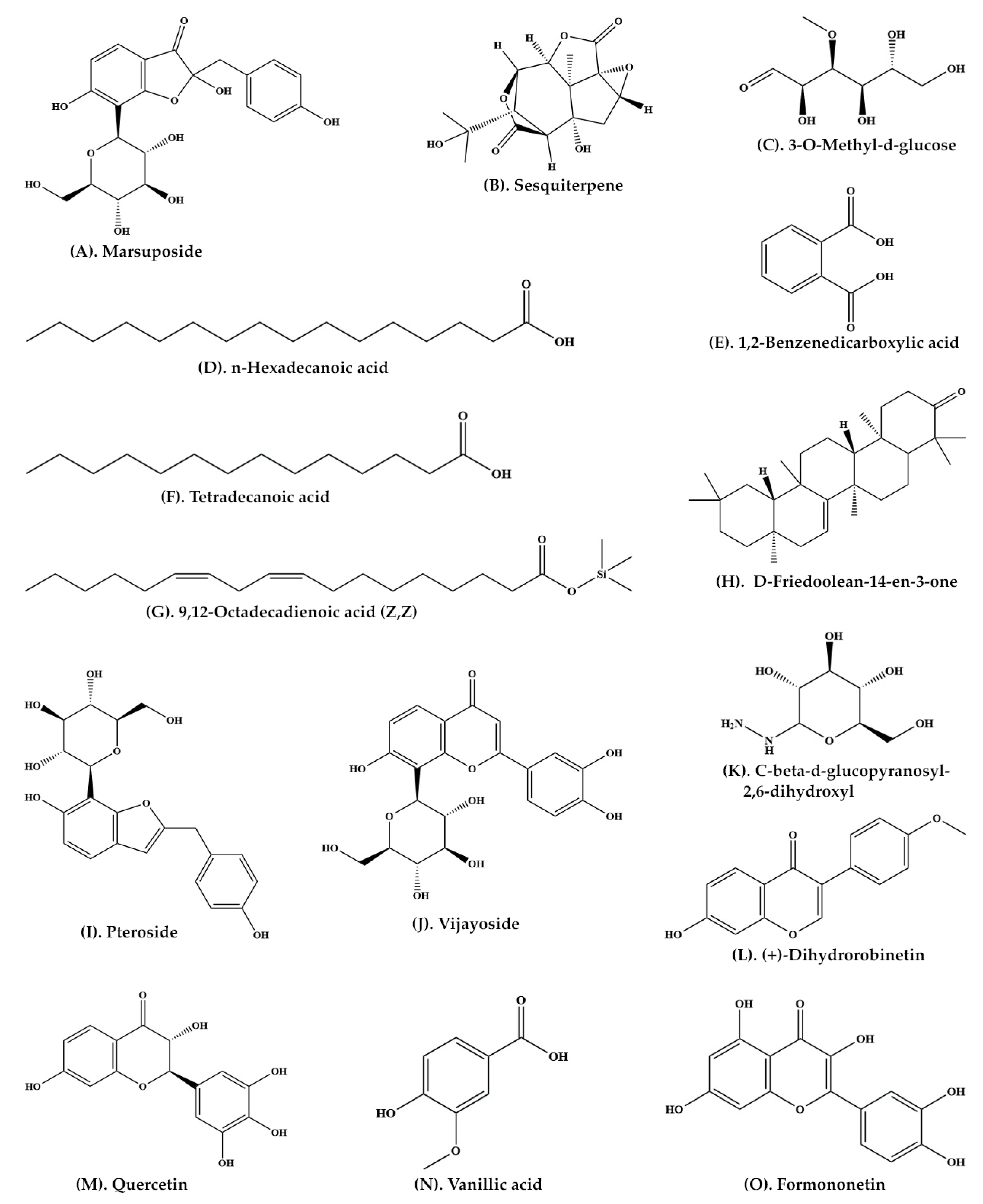 Plants 11 00247 g003