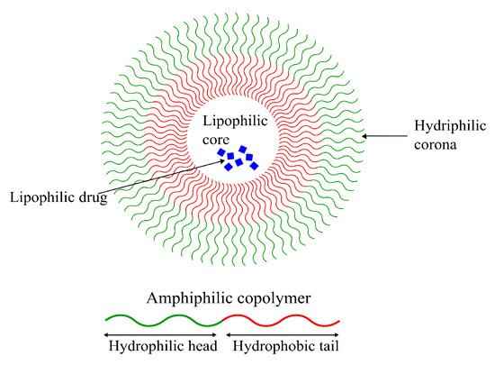 Pharmaceutics 14 00224 g006 550