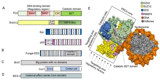 Epigenomes 06 00003 g002 550