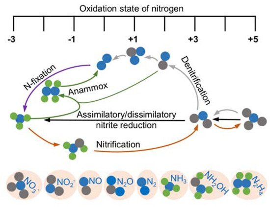 Ijms 23 00979 g001 550