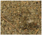Foods 11 00263 i003
