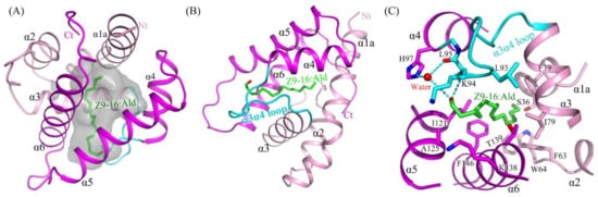 Ijms 23 01190 g003 550