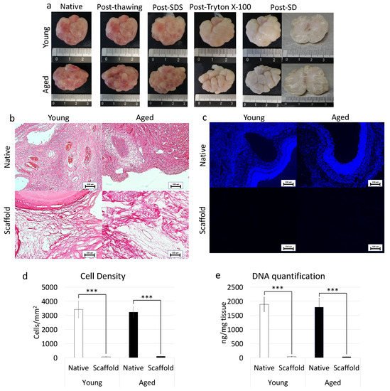 Nanomaterials 12 00345 g004 550