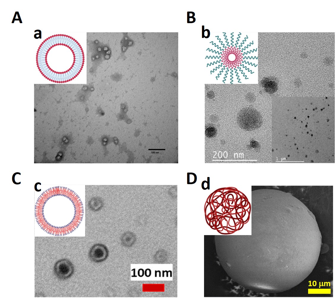 Polymers 13 03920 g002 550