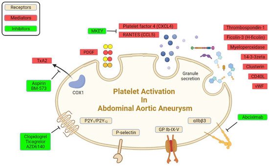 Biomolecules 12 00206 g001 550