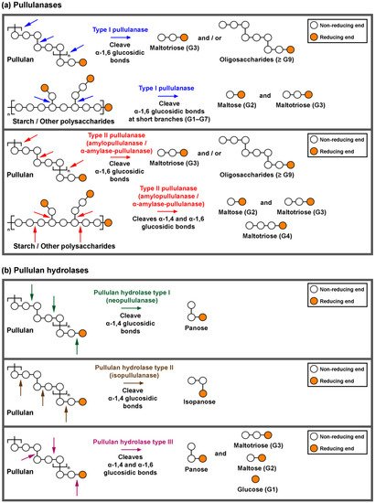 Catalysts 12 00143 g003 550