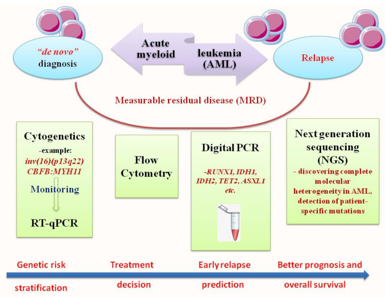 PCR And NGS In Acute Myeloid Leukemia Encyclopedia MDPI