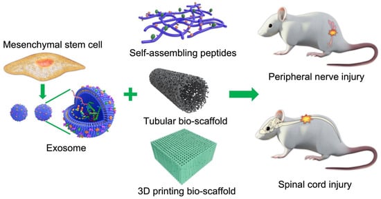 Ijms 22 13347 g001 550