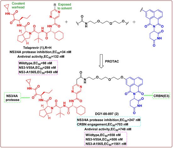 Newly Emerging Antiviral Strategies | Encyclopedia MDPI