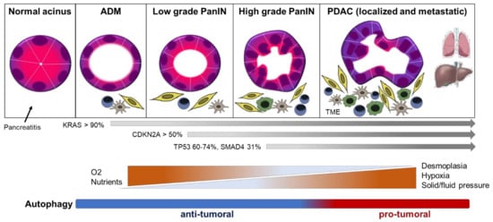 Cells 11 00426 g001 550