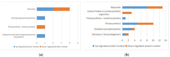 Microorganisms 10 00257 g004 550