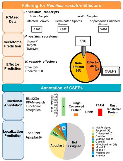 Agronomy 12 00326 g002 550