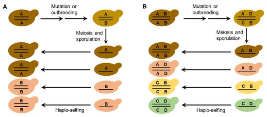 Genes 13 00230 g006 550