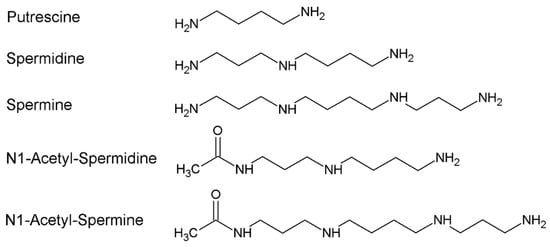 Biomolecules 12 00204 g001 550