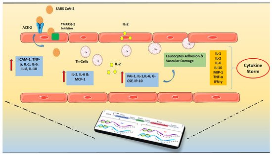 Biomedicines 10 00242 g001 550