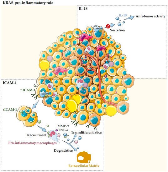 Cells 11 00398 g003 550