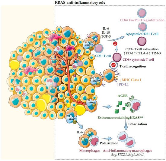 Cells 11 00398 g004 550