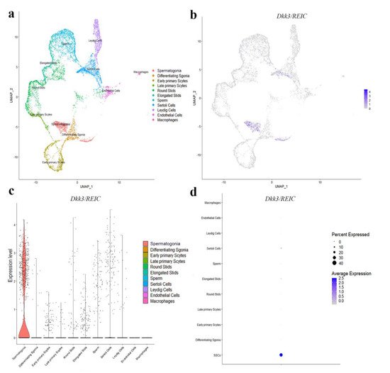 Genes 13 00285 g002 550